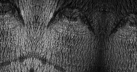 Stop motion animated wood texture background or luma matte Stock-Footage 101176868