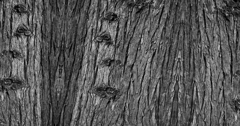 Stop motion animated wood texture background or luma matte Stock-Footage 101177162