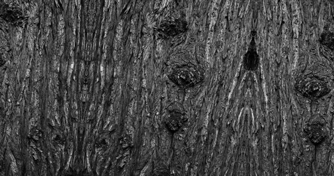 Stop motion animated wood texture background or luma matte Stock-Footage 101177203