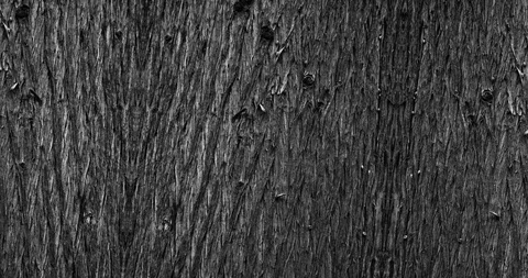 Stop motion animated wood texture background or luma matte Stock-Footage 101177696