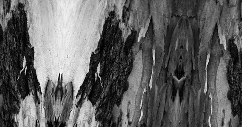 Stop motion animated wood texture background or luma matte Stock-Footage 101178115