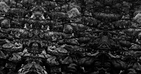 Stop motion animated wood texture background or luma matte Stock-Footage 101179323