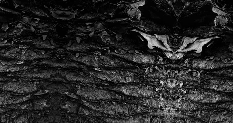 Stop motion animated wood texture background or luma matte Stock-Footage 101179760