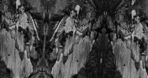 Stop motion animated wood texture background or luma matte Stock-Footage 101179855