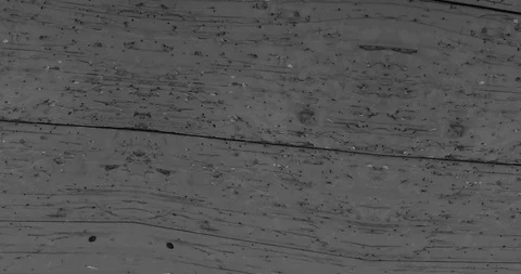 Stop motion animated wood texture background or luma matte Stock-Footage 101180059