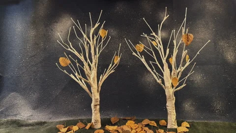 Stop Motion Animation of Autumn Birch Trees with Falling Leaves Video stock 330667055