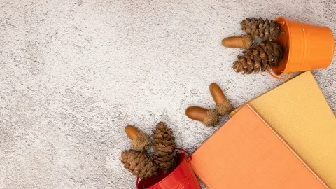 Stop motion animation of autumn composition and title appear and disappear Stock-Footage 115911156