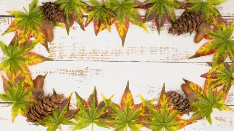 Stop motion animation of autumnal frame of leaves and pine cones Stock Footage 117694639