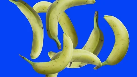 Stop motion animation of bananas, blue editable screen with chroma key, remove t Stock Footage 107149288