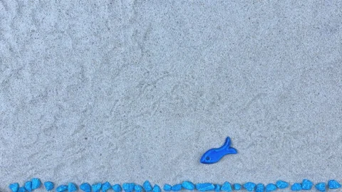 Stop Motion Animation of a Blue Stone Fish Swimming on Sand with Copy Space Video stock 326143910
