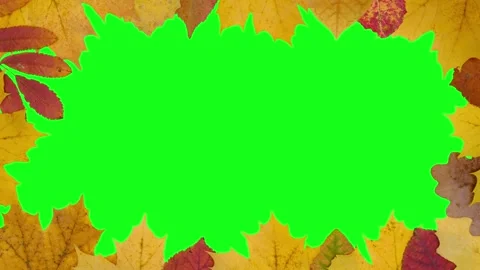 Stop motion animation with dry autumn leaves making a frame on green screen Stock Footage 293065455