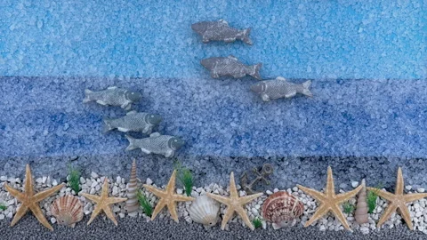Stop Motion Animation of Fish Swimming Over a Starfish and Shell Shoreline Video stock 326165300