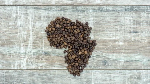 Stop motion animation of formation figure of africa from coffee beans Stock Footage 105305195