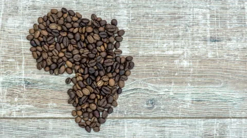 Stop motion animation of formation figure of africa coffee beans Stock Footage 105305719