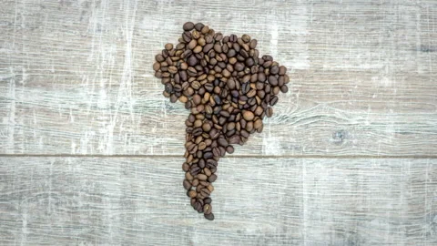 Stop motion animation of formation figure of south america coffee beans, 4K Stock Footage 105306292