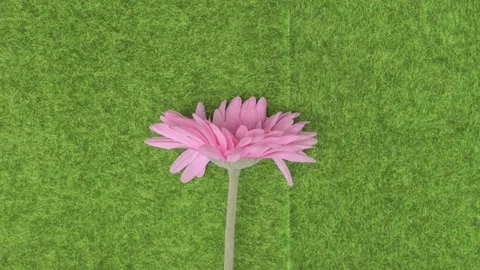 Stop motion animation green grass wooden hands with csr corporate social Stock Footage 160813453