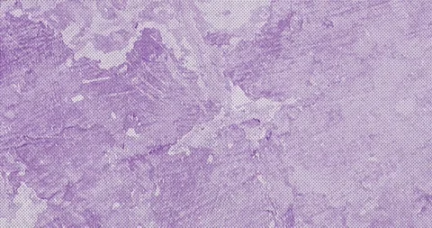Stop motion animation of grungy and noisy rough surface or  Paper Texture Vídeos de archivo 252517898