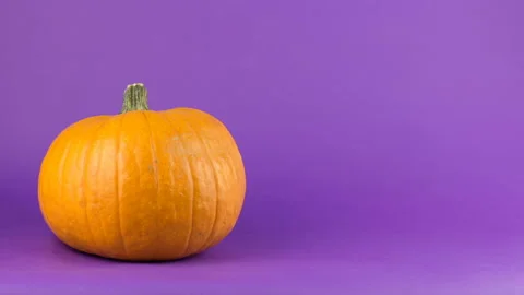 Stop motion animation Halloween pumpkin spinning on a purple background. Stock Footage 141390337