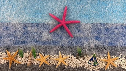 Stop Motion Animation of a Large Pink Starfish in a Crystal Salt Ocean Video stock 325885349