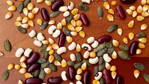 Stop motion animation of legumes. Stock Footage 162767387