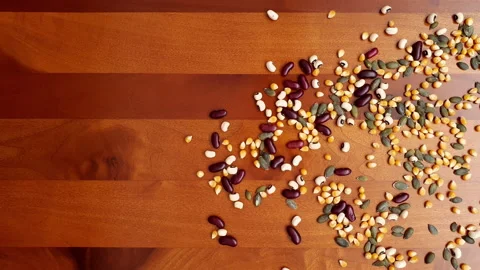 Stop motion animation of legumes Stock Footage 162849162