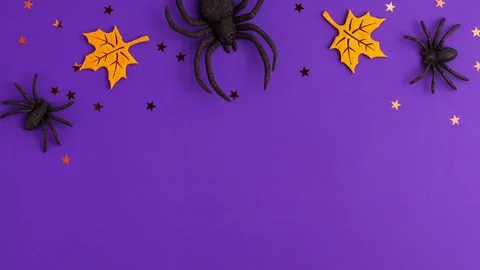 Stop motion animation of one big and two tiny black artificial spiders stars Video stock 163740153