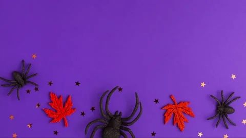 Stop motion animation of one big and two tiny black artificial spiders stars Video stock 163740156