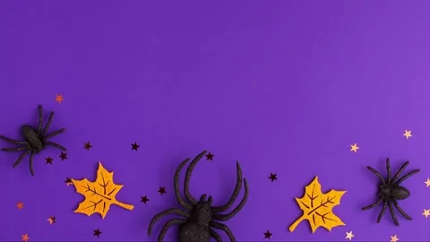 Stop motion animation of one big and two tiny black artificial spiders stars Video stock 202616324