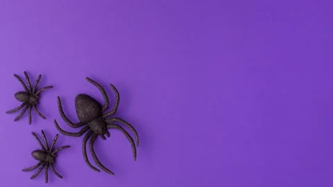 Stop motion animation of one big and two tiny black artificial spiders Video stock 204719180
