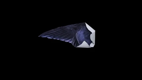 Stop motion animation paper wrinkles Black screen.Unfolded piece paper on b.. Stock Footage 277928005