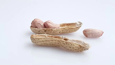 Stop motion animation of peanut crack open itself. Stock Footage 162975391
