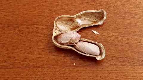 Stop motion animation of peanut crack open itself. Stock Footage 162975469