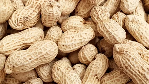 Stop motion animation of peanuts moving randomly. Stock Footage 162975503