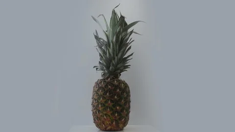 Stop motion animation of pineapple spinning Stock Footage 109220647