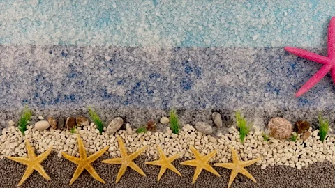 Stop Motion Animation of a Pink Starfish on a Salt Crystal Shoreline Video stock 330668673