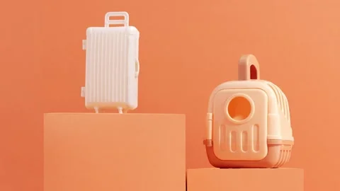 Stop motion animation with plastic cage, pet carrier and suitcase Video stock 239756061