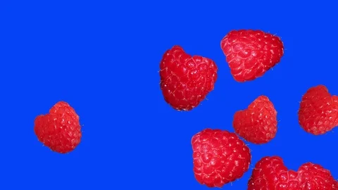 Stop motion animation of raspberrys, blue editable screen with chroma key, Stock Footage 107149483