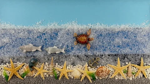 Stop Motion Animation of a Sea Turtle and Fish on Salt Crystal Ocean Video stock 330667878