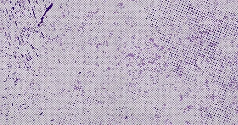 Stop motion animation of the textures of grungy and noisy surface. Vídeos de archivo 252520404