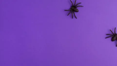 Stop motion animation of two tiny black artificial spiders that crawl Video stock 163740085