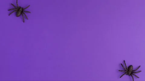 Stop motion animation of two tiny black artificial spiders that crawl Video stock 163740111