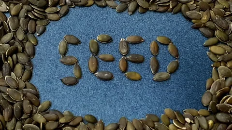 Stop motion animation of the word "Seed". Stock Footage 162340090