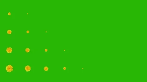 Stop motion animation of yellow dandelions appearing on green background one Stock Footage 171401222