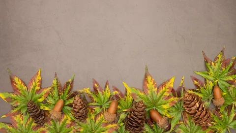 Stop motion of autumn title appearing above group of leaves and pine cones 動画素材 117695832