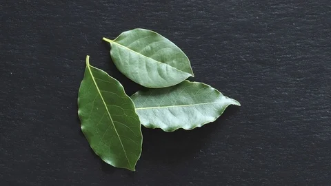 Stop motion background of laurel leave on slate Stock Footage 125397938