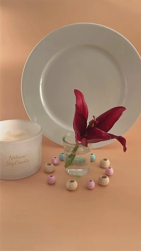 Stop motion, Blooming from the vase Stock Footage 296488175