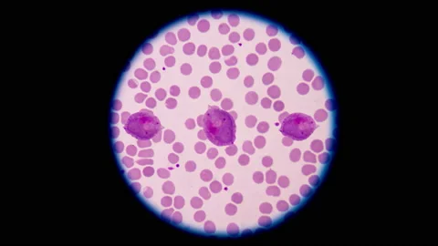 Stop motion cell  in frame. Stock Footage 199786506