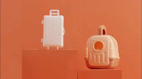 Stop motion concept travel or moving with animal, flight, safety Video stock 239756142