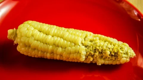 Stop motion of corn in red plate, in studio Chiangmai Thailand Stock Footage 104700417