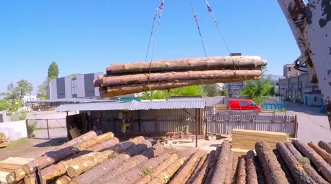 Stop motion. The crane brings the logs to wood-working machines. Video stock 52004148